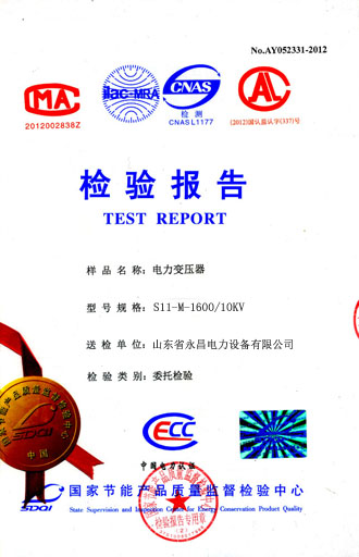 广东电力变压器检测合格报告